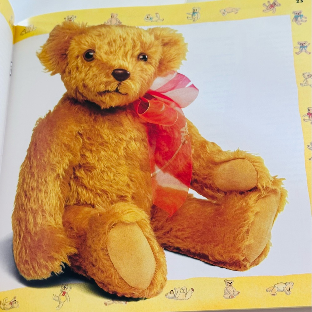 The Teddy Bear Kit Paperback Book - Picture 7 of 11